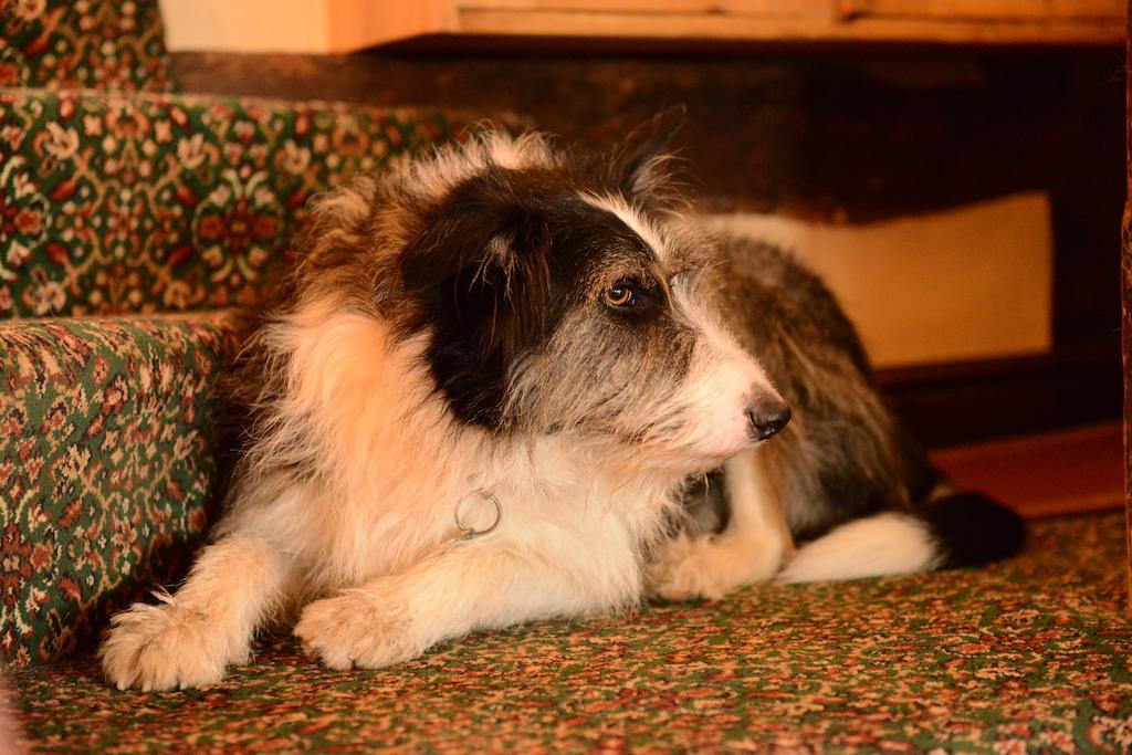Badgers Hall Chipping Campden Ngoại thất bức ảnh