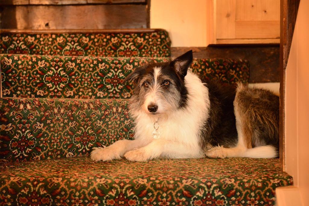 Badgers Hall Chipping Campden Ngoại thất bức ảnh